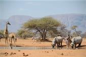 imagen: AFRICA