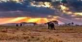 imagen: AFRICA